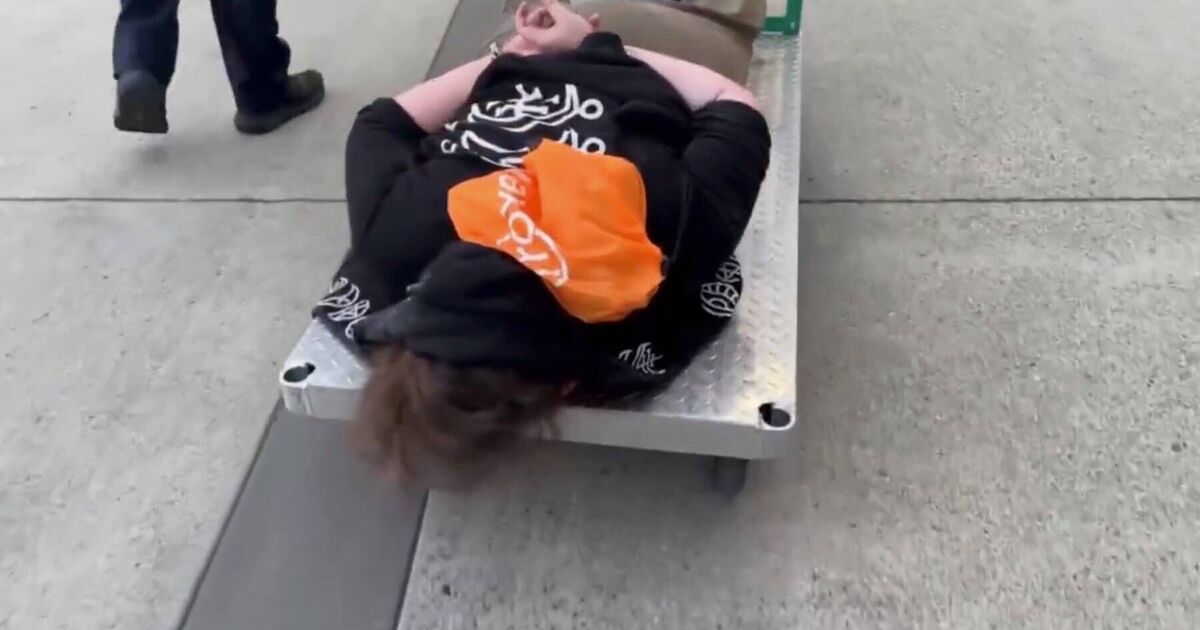Watch: ICE savages handcuffed protestor carted away in video 'we'll give you a ride'