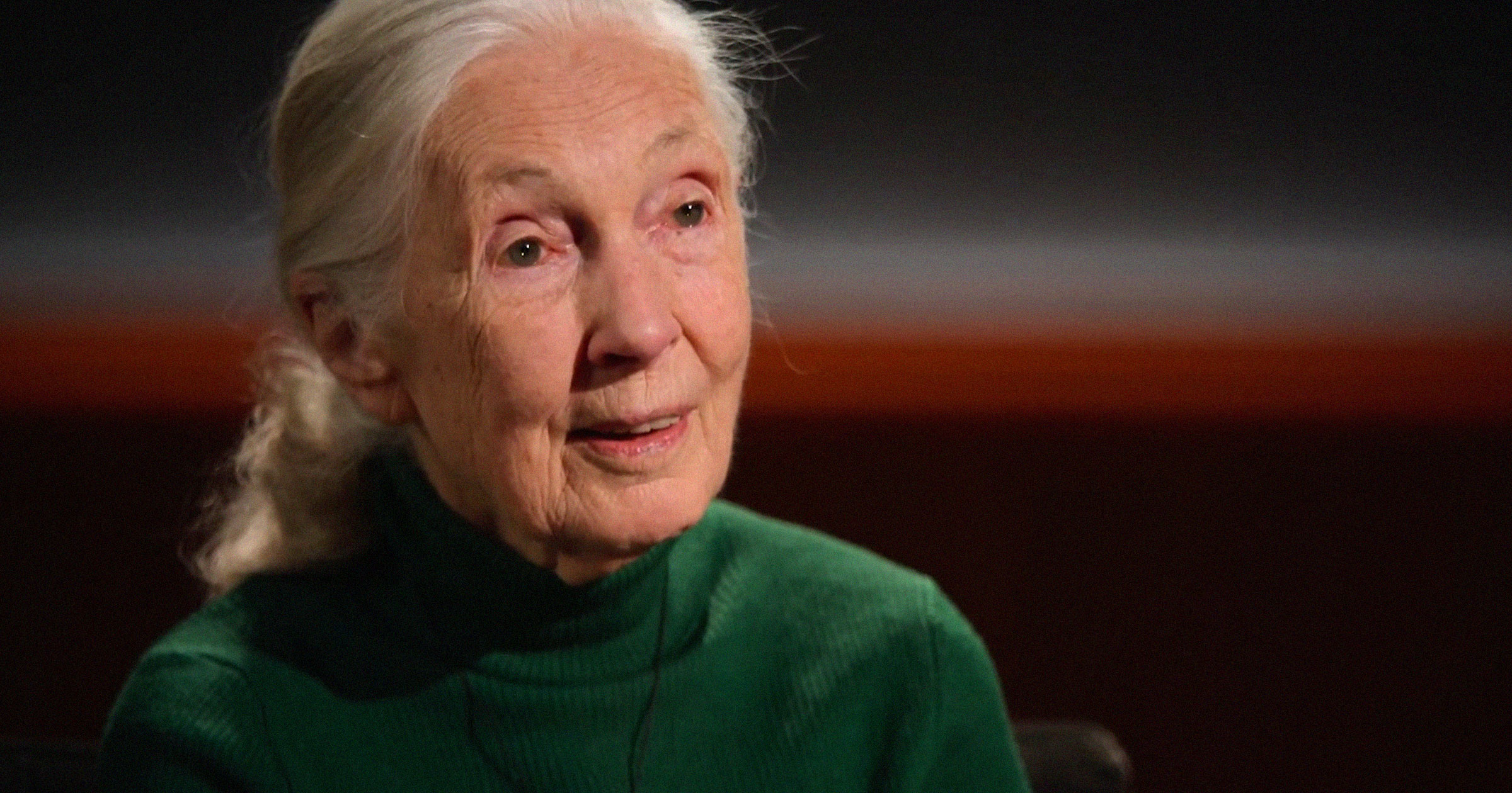 Jane Goodall Recorded a Message About Elon Musk Before Her Death