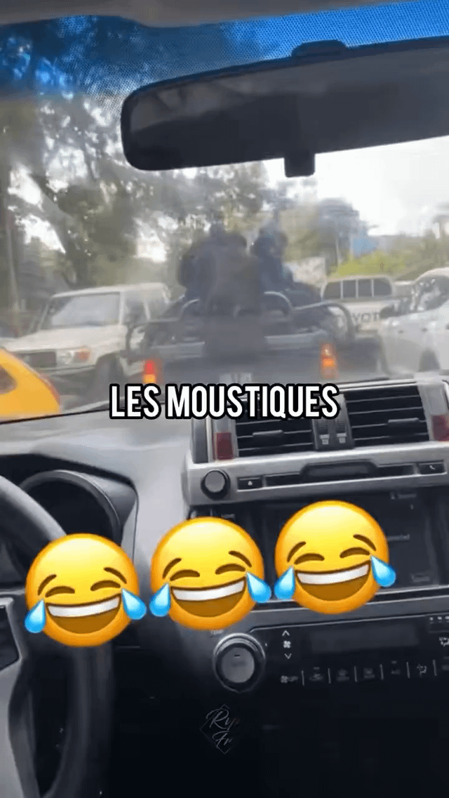 Policemen getting overwhelmed by bees.