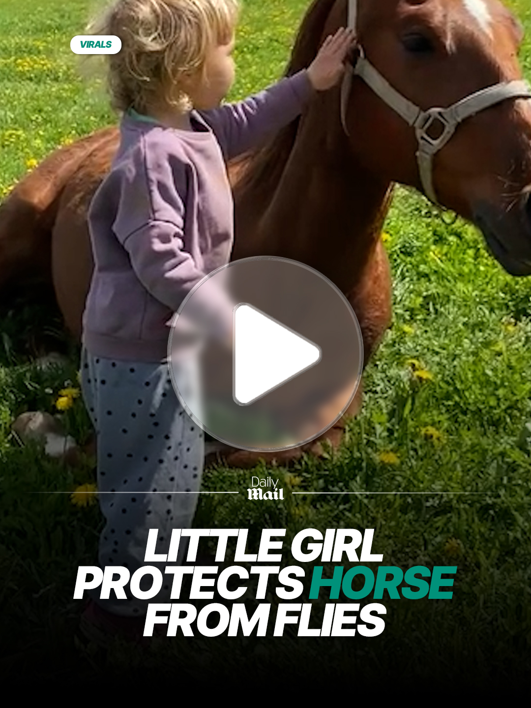 Their friendship is so precious ❤️ #animals #horses #kids