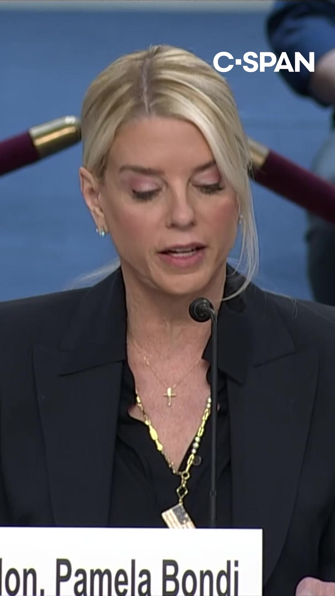 Attorney General Pam Bondi on Tuesday said she took office with two main objectives: ending the weaponization of justice and returning the Justice Department to its core mission of fighting violent crime.   &quot;While there is more work to do, I believe that in eight short months, we have made tremendous progress towards those ends,&quot; she told the Senate Judiciary Committee.   She accused the Biden administration of weaponizing the Justice Department and &quot;secretly investigating&quot; Republicans to &quot;take President Trump off the playing field.&quot;   &quot;They were playing politics with law enforcement powers and will go down as a historic betrayal of public trust,&quot; she said. &quot;This is the kind of conduct that