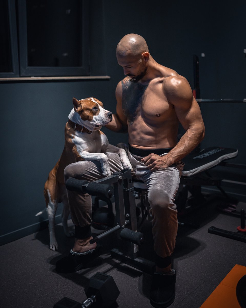Dogs are a man’s best friend.