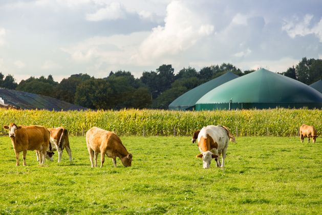 Controversial Kildare biomethane plant refused planning permission following local opposition
