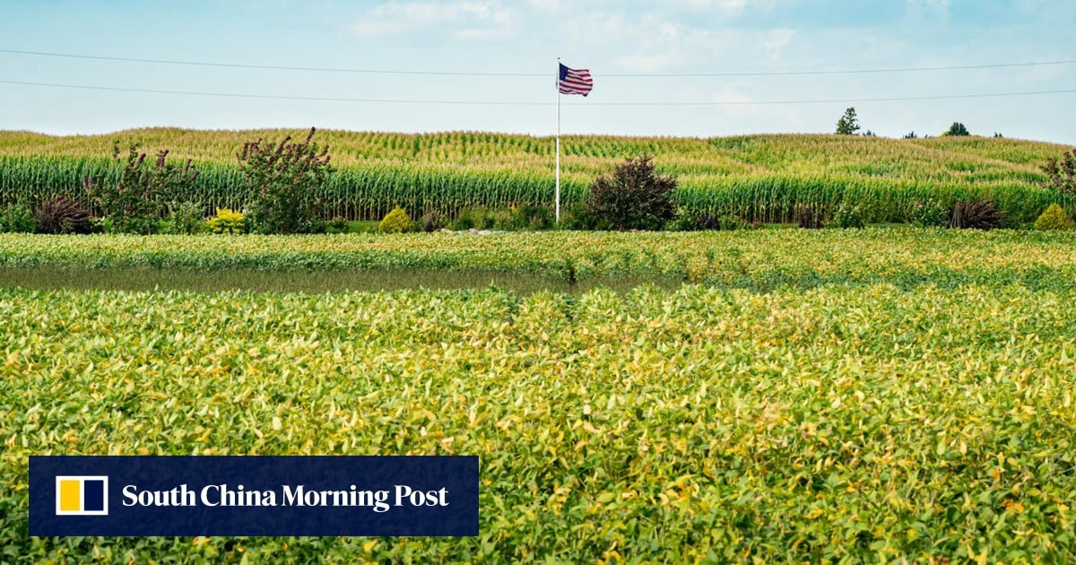 China retaliates on port fees, Trump eyes soybean talks: SCMP daily highlights