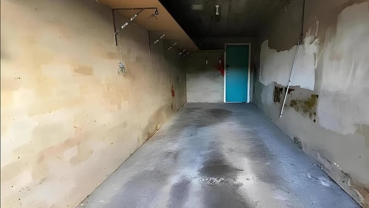 Shock as lock-up garage in a popular Sydney suburb sells for an eyewatering $100,000 over the asking price