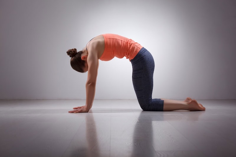 Simple Mobility Exercises for Beginners