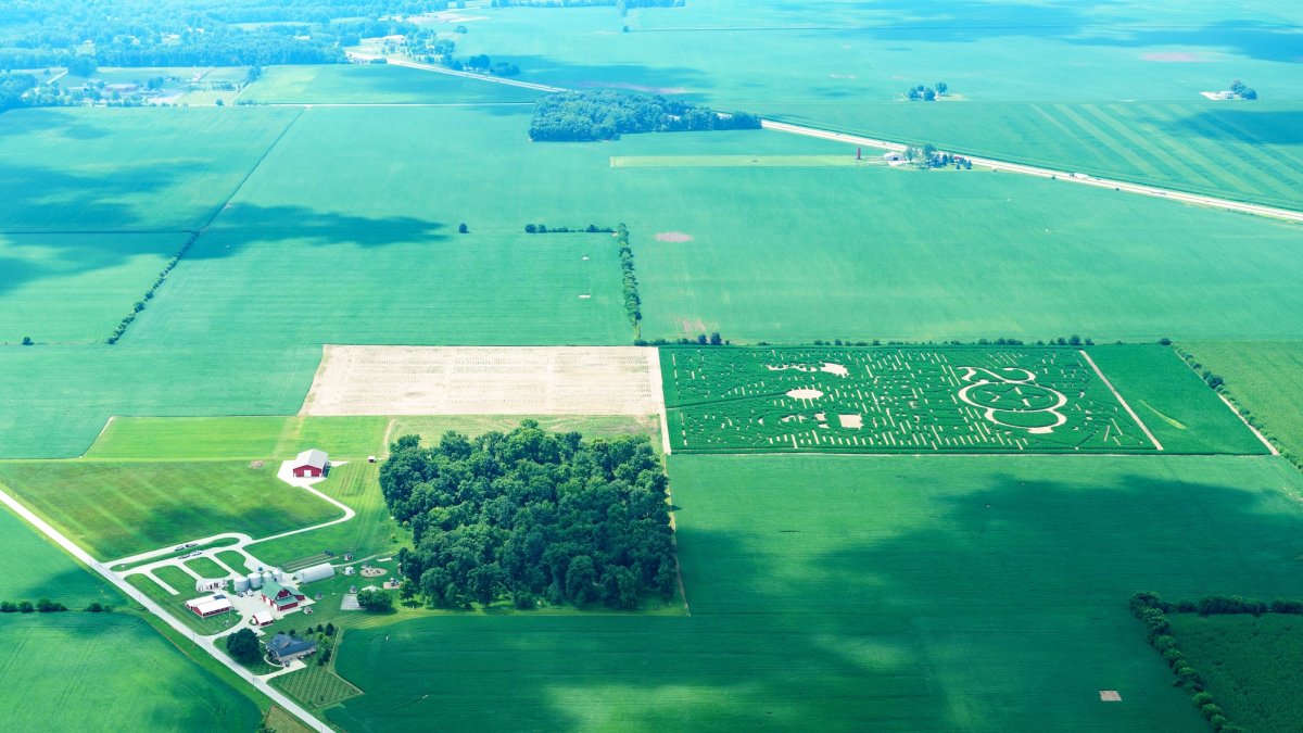 Inside the making of a world-class corn maze