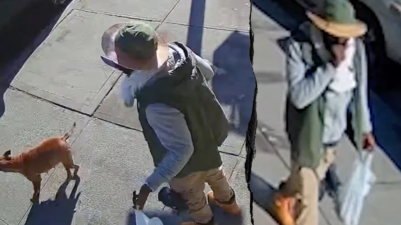 Machete-wielding career criminal charged in deadly hit-and-run after 20 arrests