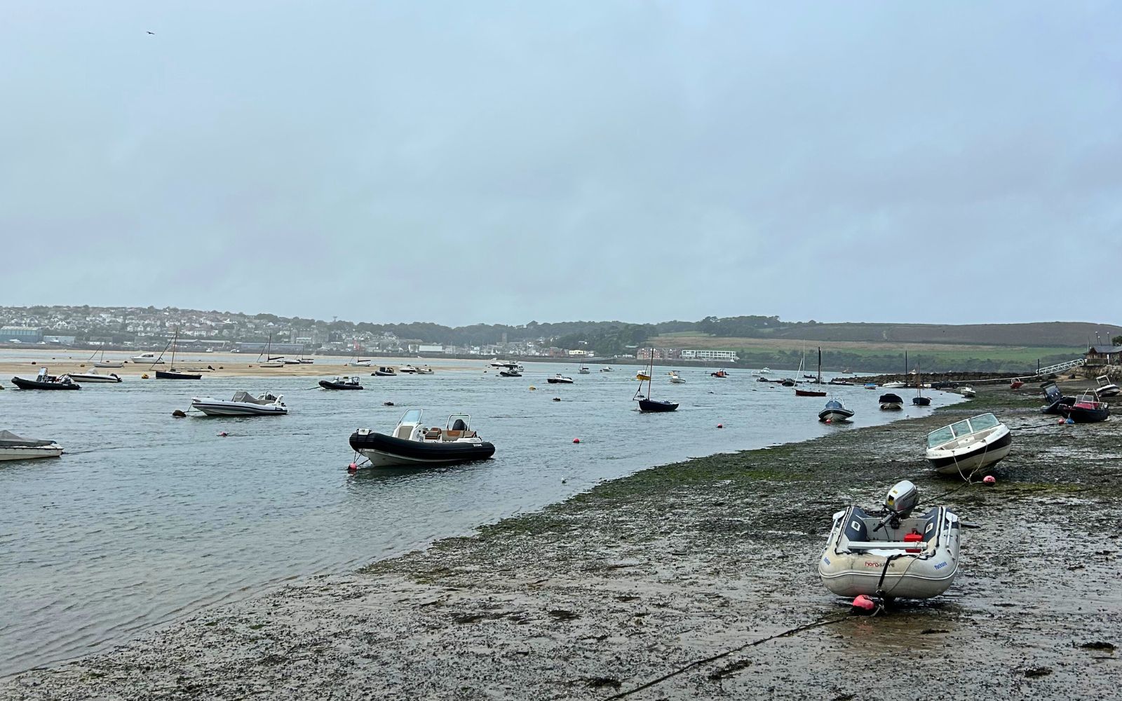 How Prawn on the Lawn Is Celebrating Cornwall