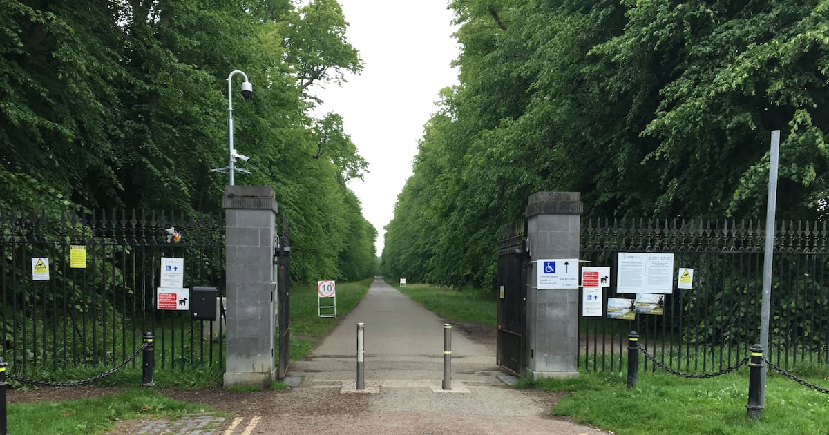 High Court actions over access to Castletown House settled