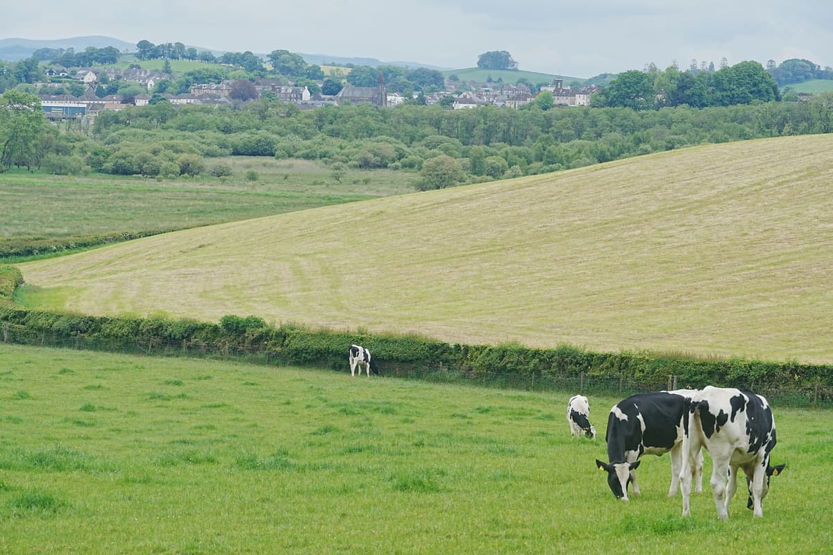 South Scotland invention aims to transform dairy industry