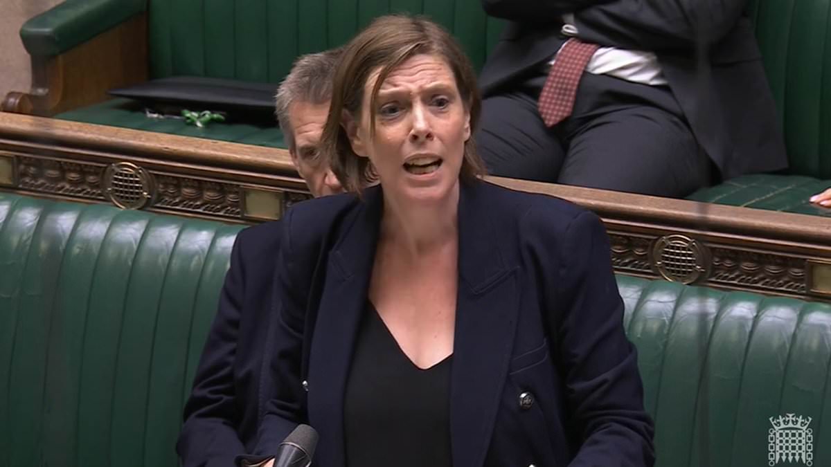 Pressure on Jess Phillips over grooming gangs inquiry