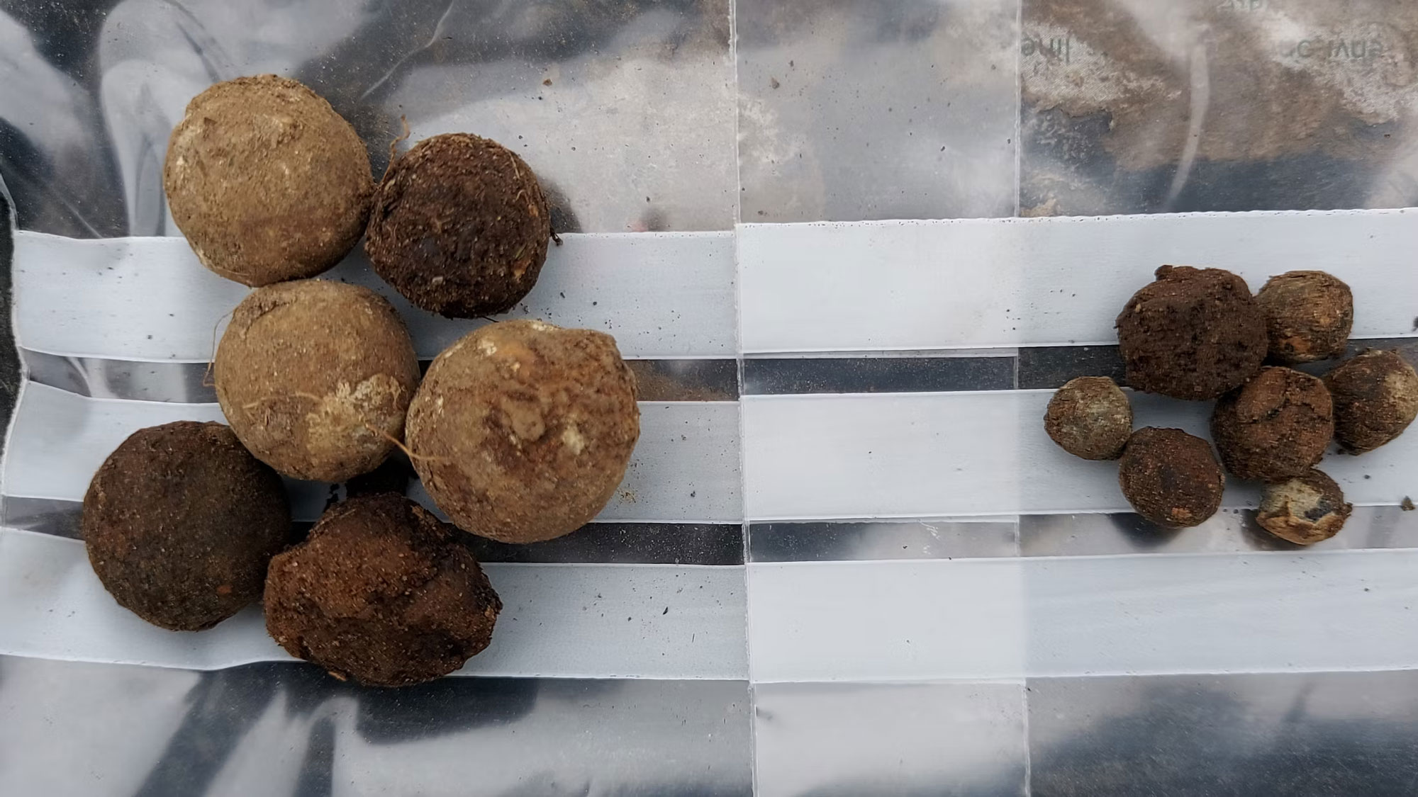 Projectiles Recovered at Scotland’s Culloden Battlefield