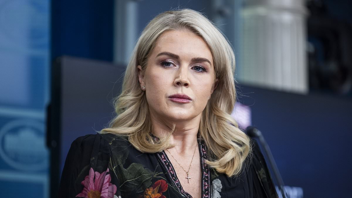 White House slams Mamdani's election day bomb threats comment