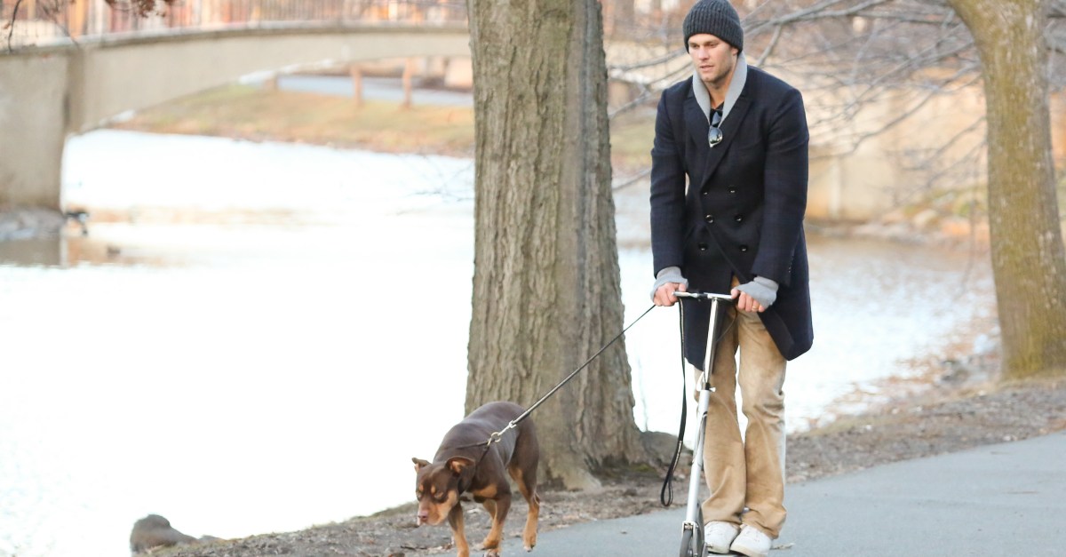 Tom Brady got his cloned dog from people trying to bring back the wooly mammoth