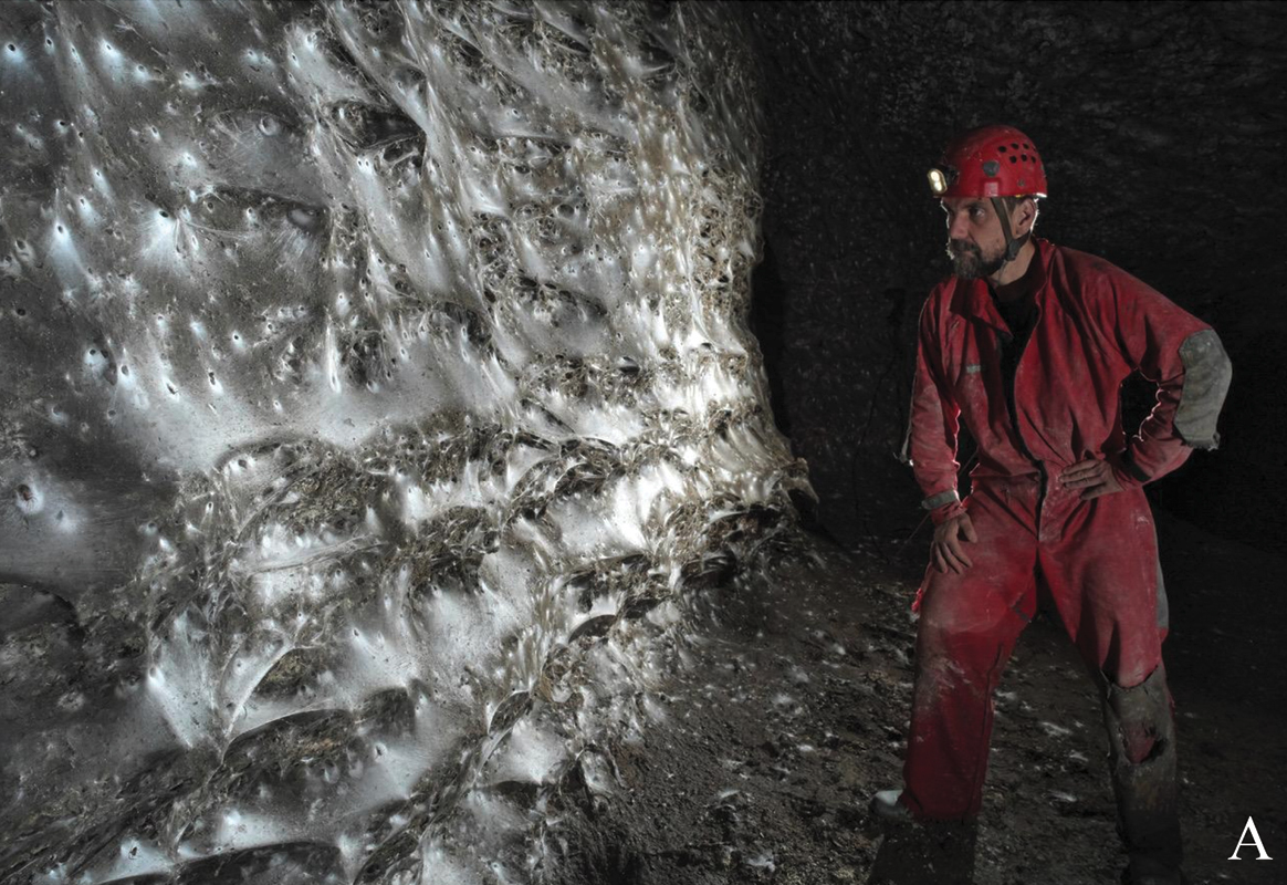 This Massive Web—Home to More Than 100,000 Spiders—Found in a Cave in Europe Could Be the World's Largest