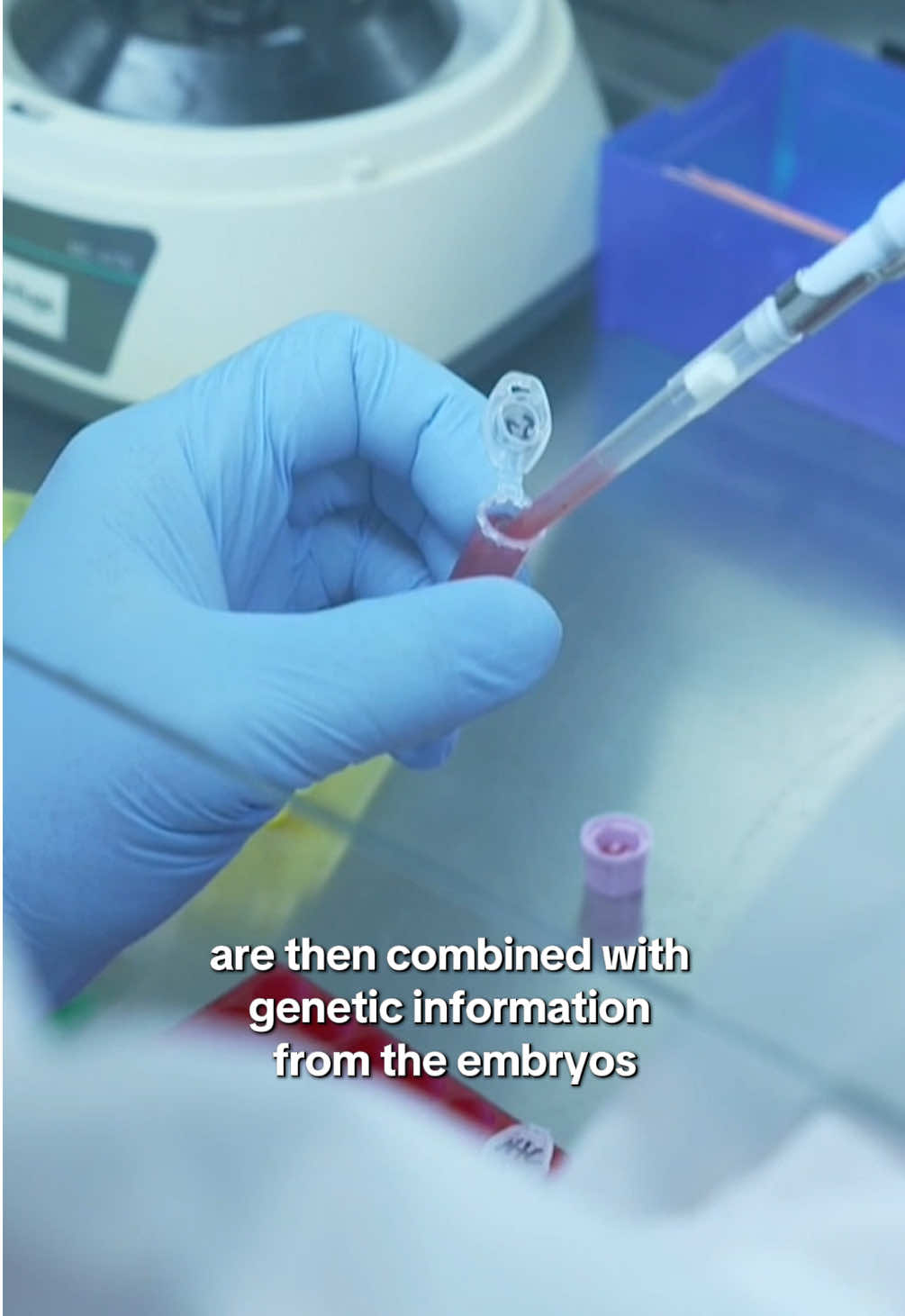 Parents are now paying $50,000 for in-depth information on their future children. Genetic screening company Herasight analyzes the DNA of embryos and offers parents with information on their potential future children's lifespan, height and IQ – pushing ethical and scientific boundaries. #news #genetics #science #tech #parentsoftiktok
