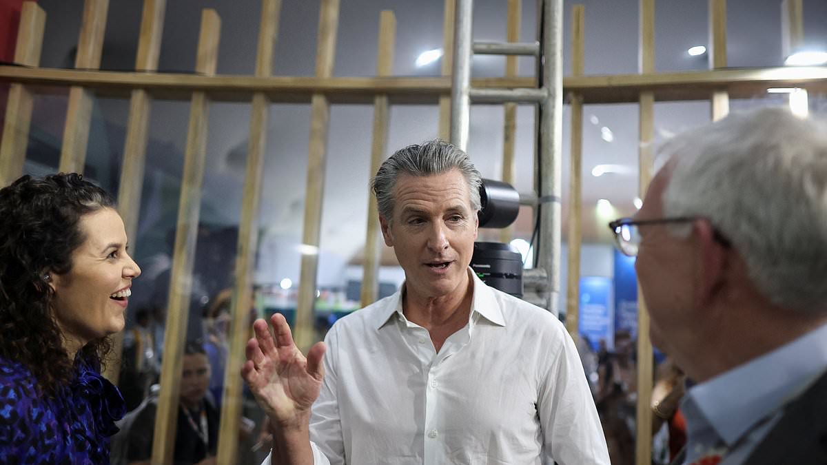 Gavin Newsom forced to revoke driver's licenses for illegal migrants