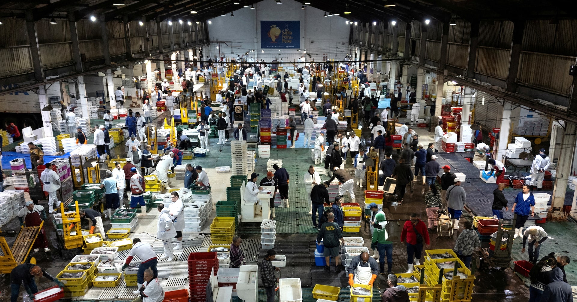 Brazil cuts forecasts for 2025 economic growth, inflation