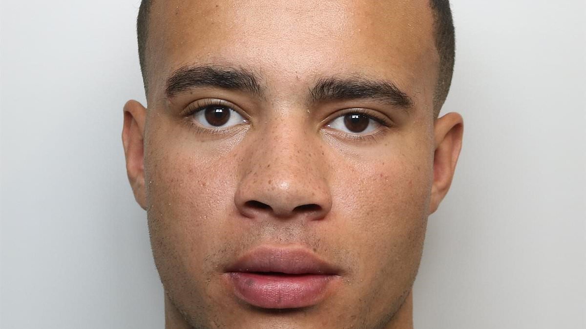 HSTikkyTokky avoids jail after crashing £230,000 McLaren supercar