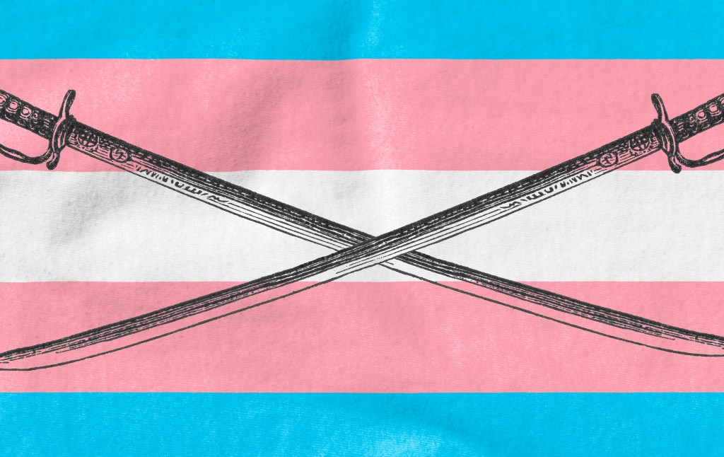 What’s Next in the Transgender Wars