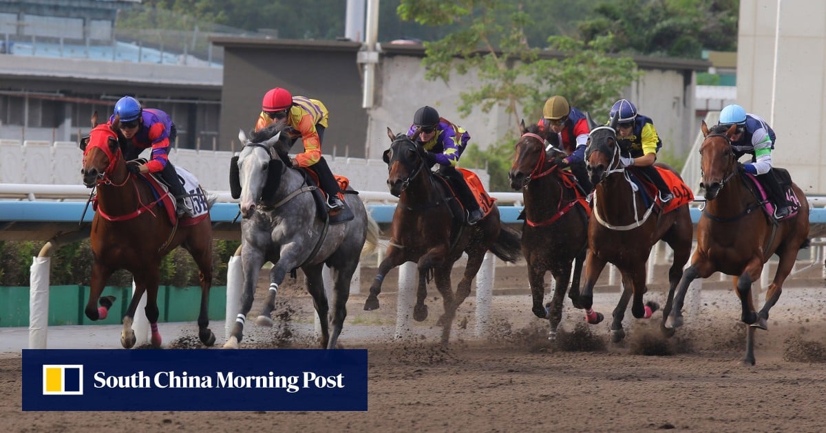 Who wins at Sha Tin? Public Attention needs a look on local debut