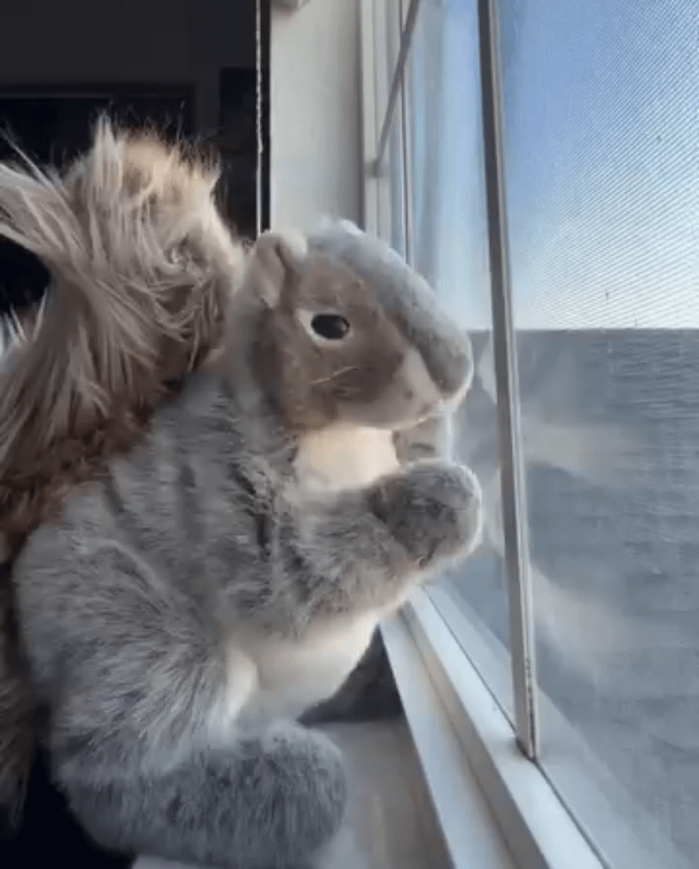 I found my self twerking