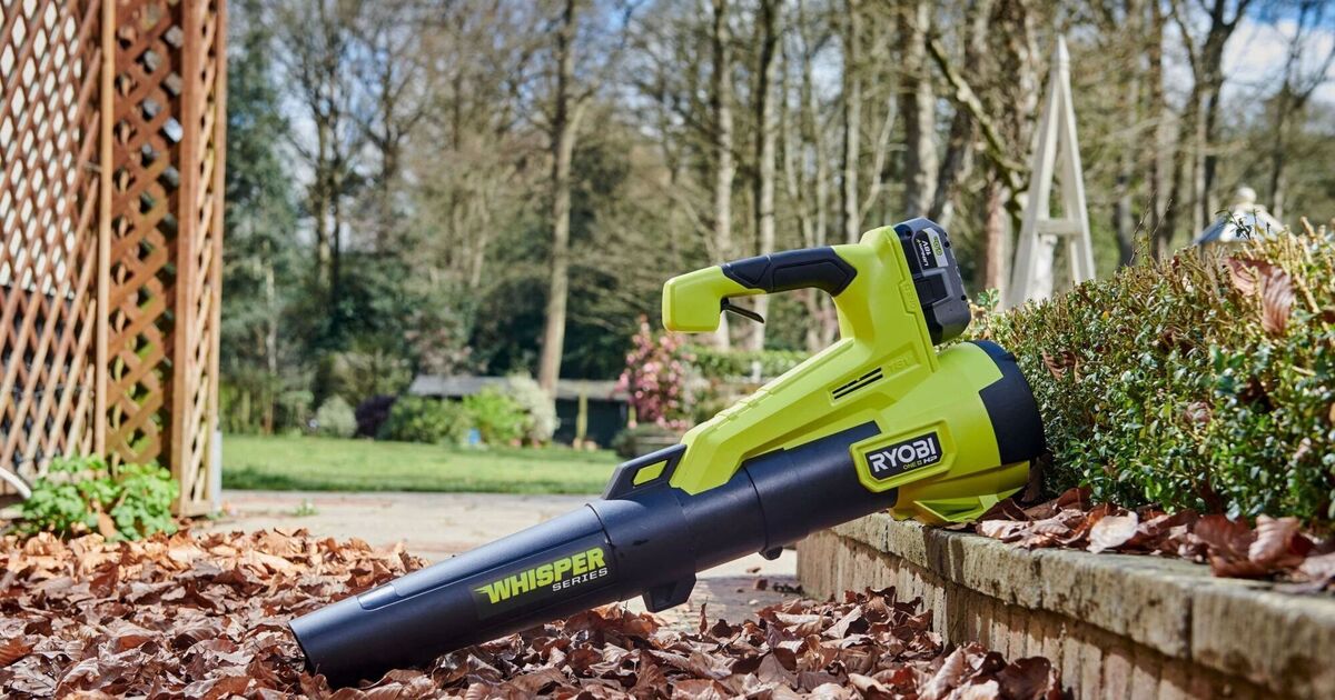 I hated leaf blowers, now I love them: A convert's guide