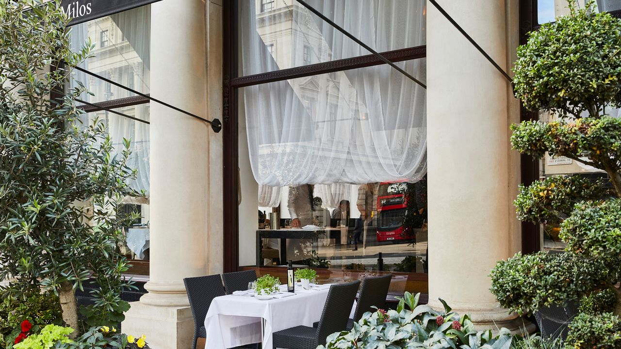 The most dazzling Mayfair restaurants you need to have on your radar