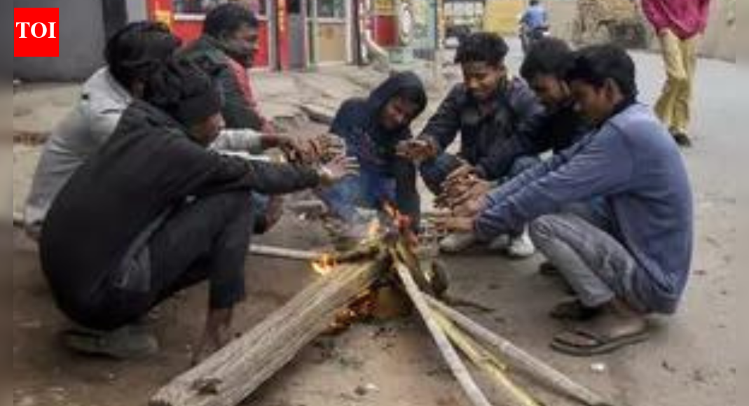Cold conditions prevail in north India; temperatures sub-zero in several parts of J-K