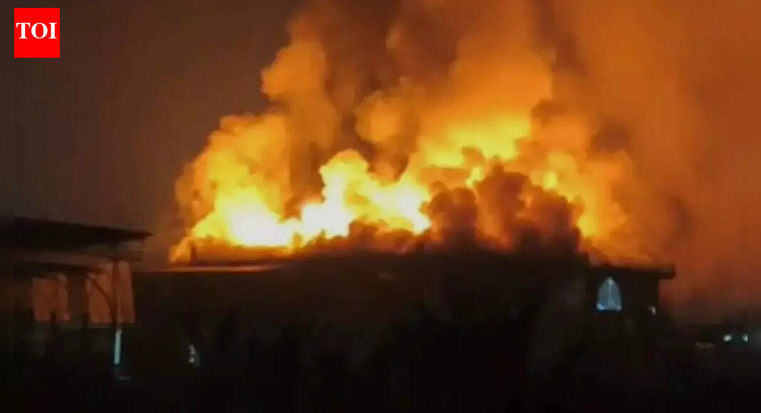 'Fireworks were set off': Goa nightclub survivor recalls moments before fire; what led to the blaze