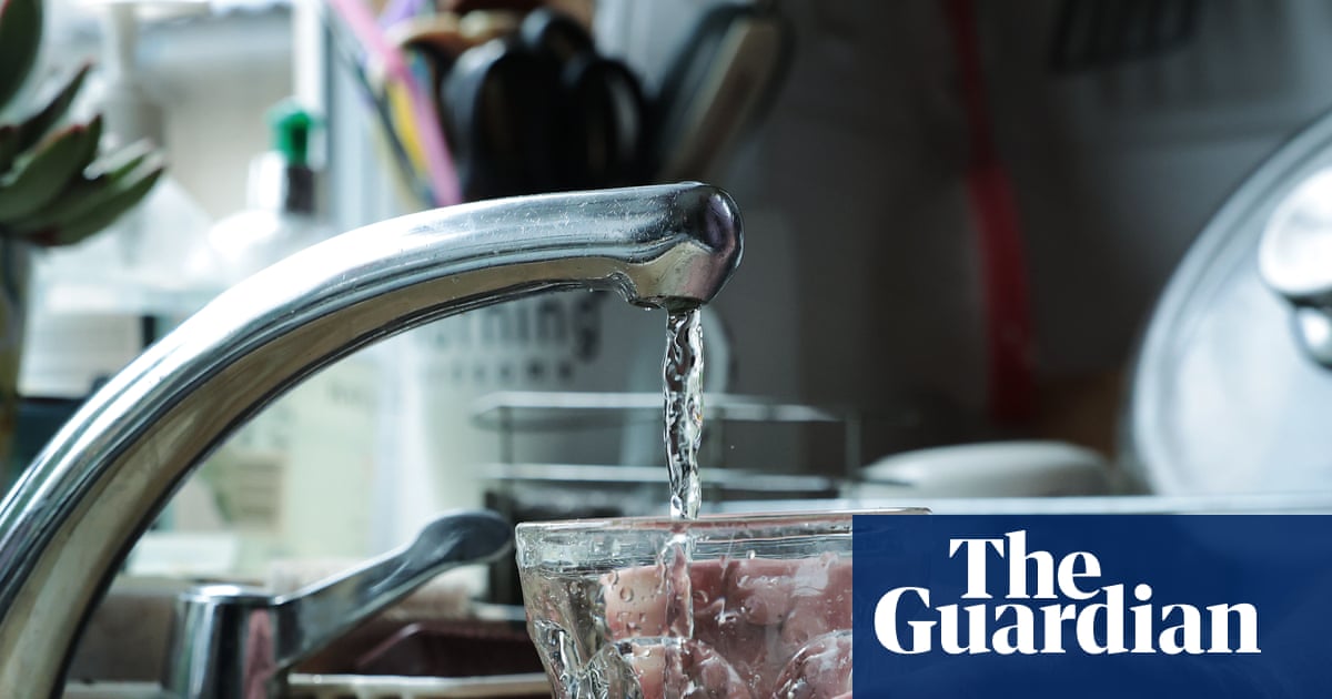 Drinking water contaminated with Pfas probably increases risk of infant mortality, study finds