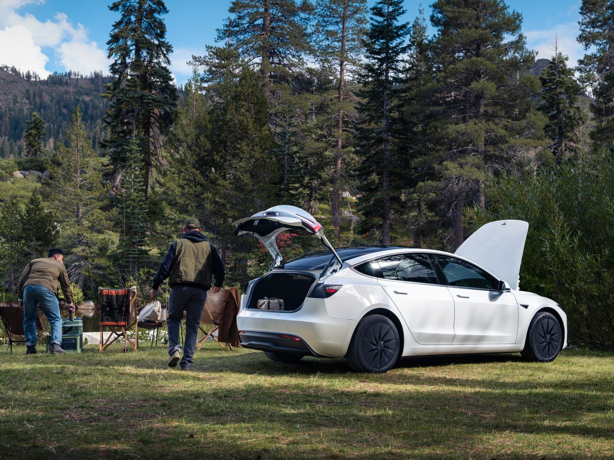 Tesla Rolls Out New ‘Standard’ Model 3 and Model Y in Europe with Eye-Catching Prices