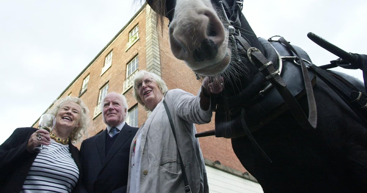 Pedestrian killed in road incident in Carlow named as well-known artist Philippa Bayliss