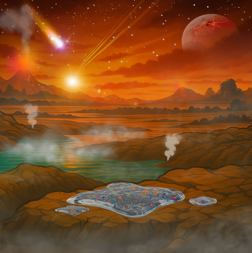 Did Life Begin in Prebiotic Surface Gels?