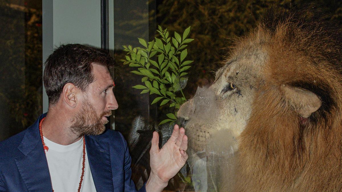 When lions met the GOAT: Messi visits wildlife conservation centre Vantara, calls it ‘genuinely impressive’