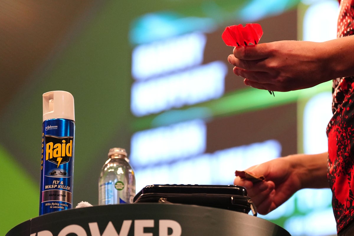 Darts player brings insect spray on stage as wasps wreak havoc at worlds