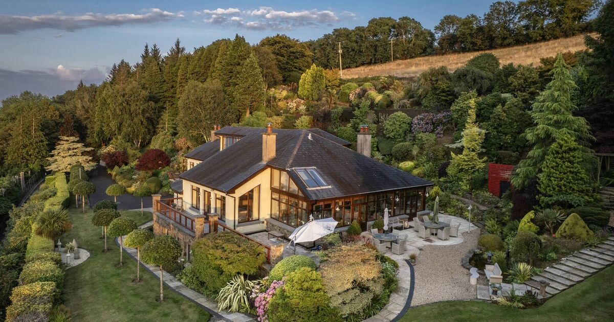 Many, many Munster homes made millions in 2025: we round up most of the year's monsters