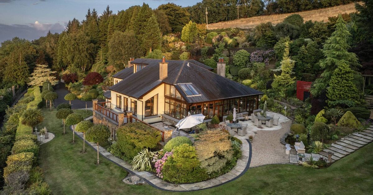 Many Munster homes made millions in 2025: we round up most of the year's monsters