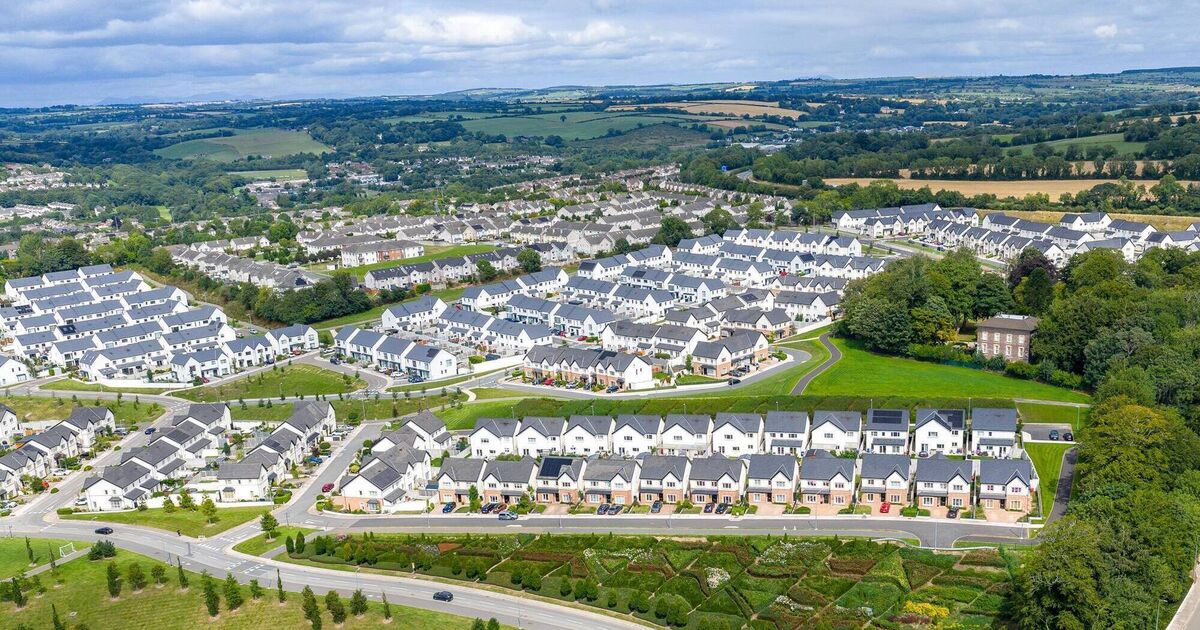 To solve the housing crisis, let builders get on with the job, says developer Michael O'Flynn 