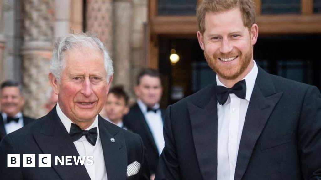 Prince Harry not planning to meet King on next trip to the UK