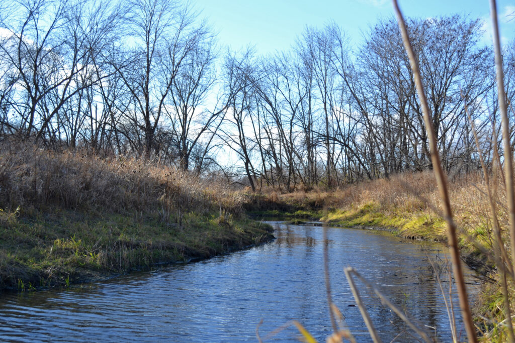 To Save An Endangered Prairie Fish, Dried-up Iowa Wetlands Get New Life