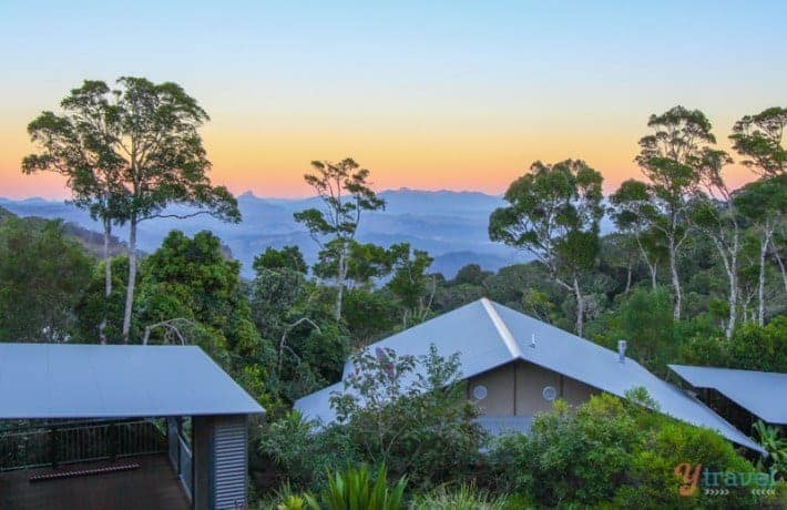 O’Reilly’s Rainforest Retreat Review, Lamington National Park: What it’s like to stay