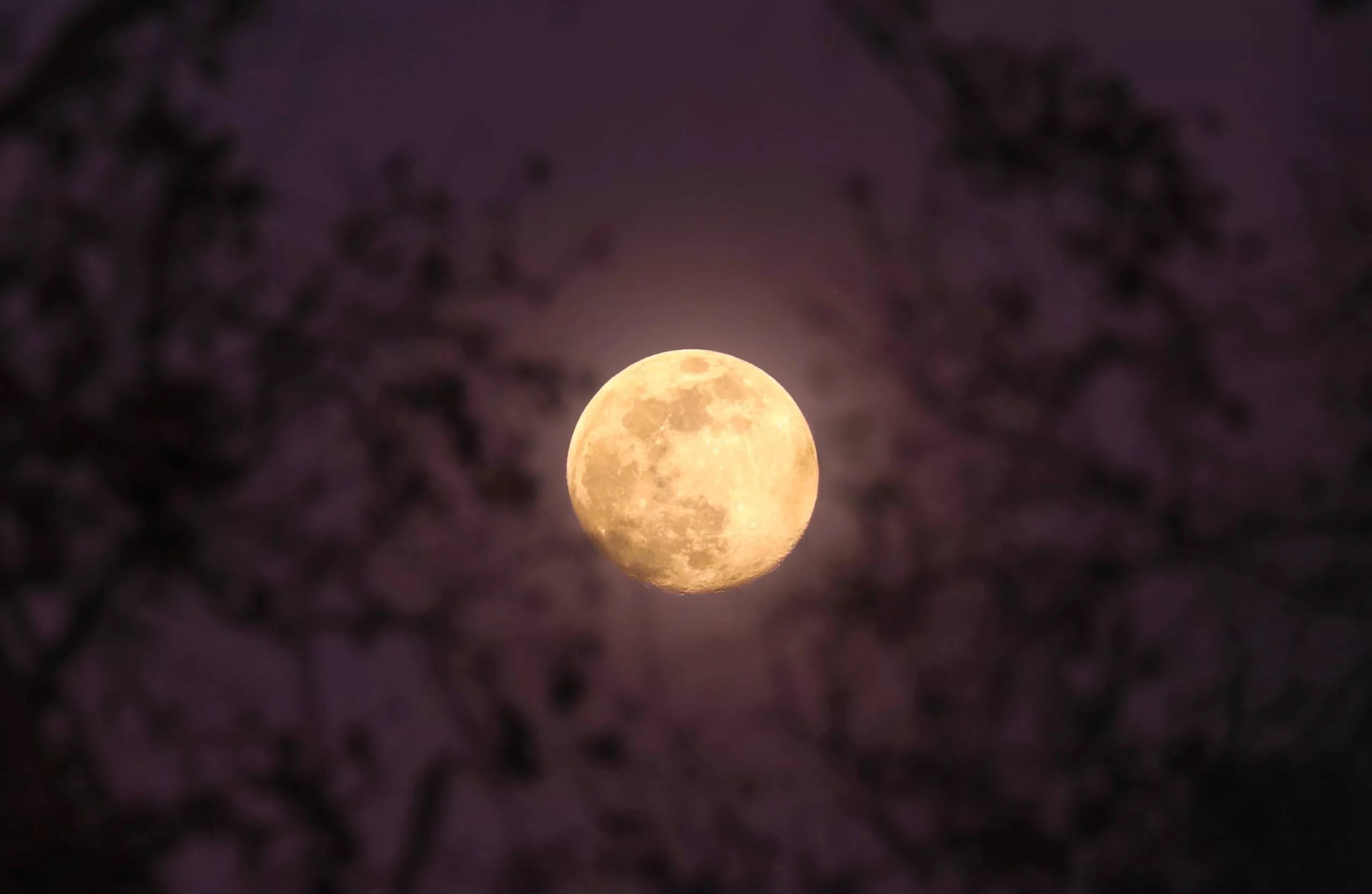 Natural Rhythms, Fading To Black And Everyday Moments – The Weekly Community Roundup