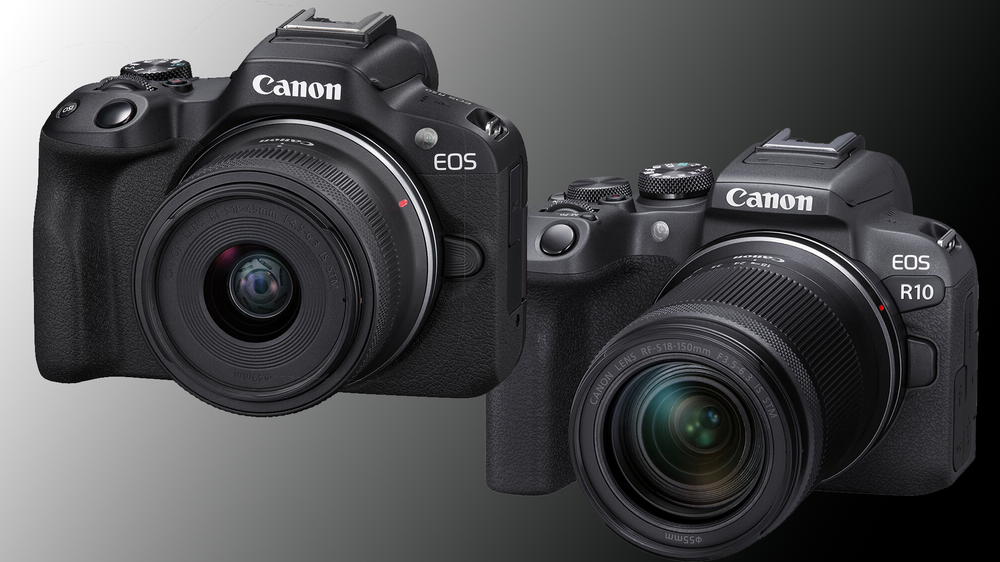The Canon EOS R50 is Japan’s Best Selling Camera for 2025