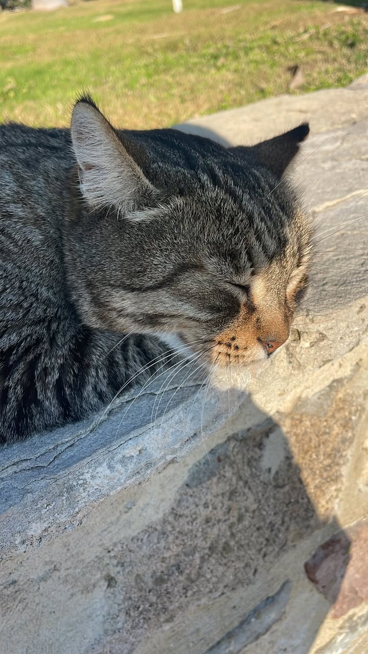 Winter in Cyprus🥰