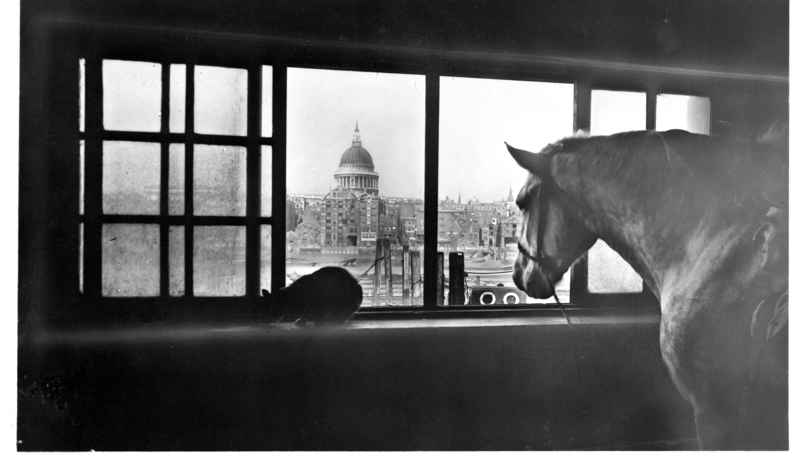 A Look Around St Paul’s Cathedral in the 1920s