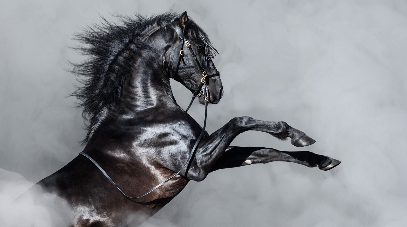 Lloyds Projects £100M Value From AI in 2026