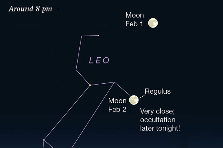 This Week's Sky at a Glance, January 30 – February 8
