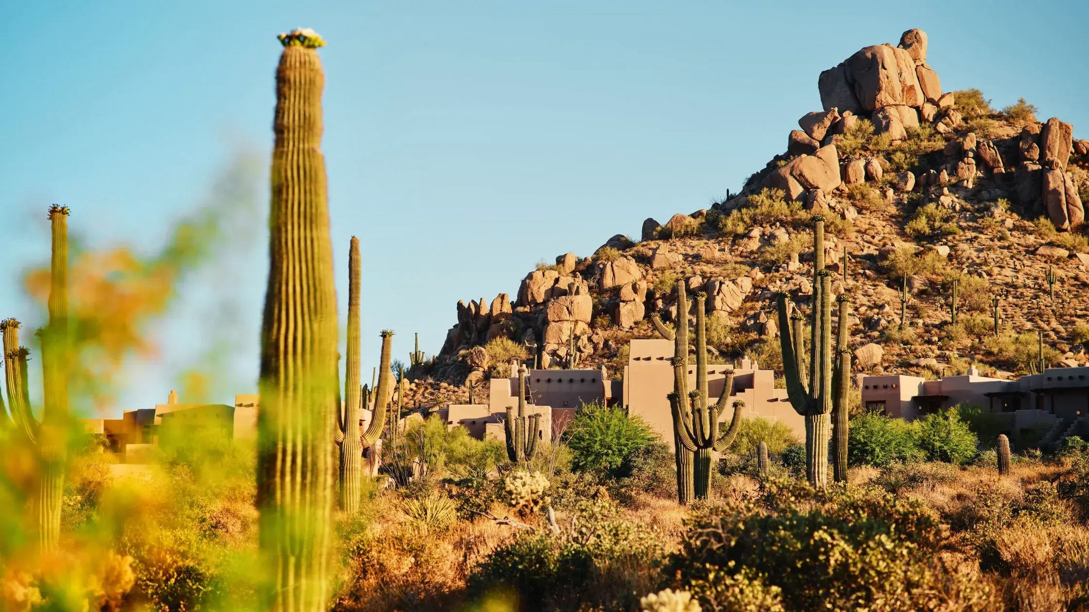 14 Best Arizona Resorts for Wellness, Wilderness, and Everything in Between
